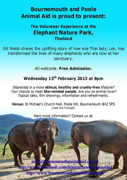 A Volunteer's Experience at the Elephant Nature Park, Thailand